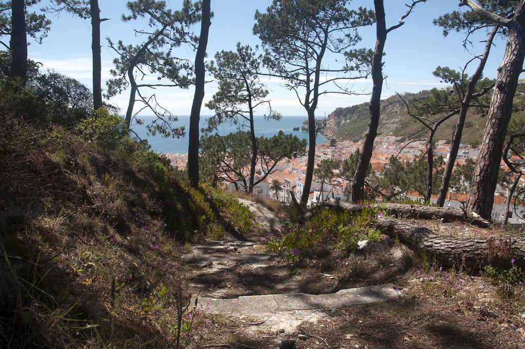 Gaivota Holidays Nazaré Exterior foto